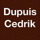 Dupuis Cedrik, Saint-Martin-de-Saint-Maixent - Horaires d'ouverture