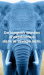 Eléphant Bleu, Tonnay-Charente - Horaires d'ouverture