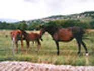 Gattacieca Gilles, Chavanod - Horaires d'ouverture