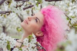 Sophie's celebrations, Ardres - Horaires d'ouverture