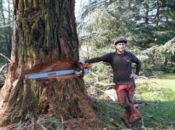 AGS - Arboriste Grimpeur Spécialisé, Chanas - Horaires d'ouverture