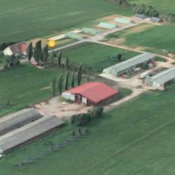 Ferme Humann, Ernolsheim-Bruche - Horaires d'ouverture
