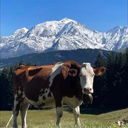 La Ferme Les Montagnards, Combloux - Horaires d'ouverture
