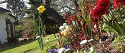 Sous les Pommiers, Boersch - Horaires d'ouverture