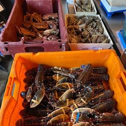 La Bourriche Wimereusienne, Wimereux - Horaires d'ouverture