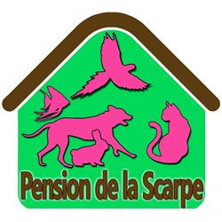 Pension de la Scarpe, Berlencourt-le-Cauroy - Horaires d'ouverture