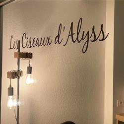 Les Ciseaux D Alyss, Frasne-le-Château - Horaires d'ouverture