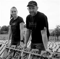 L' Escargot de Vincent & Elise, Frasne-le-Château - Horaires d'ouverture