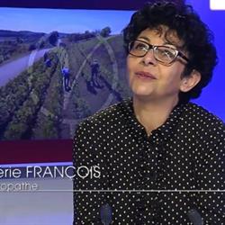 Valérie François Naturopathe Epinal, Épinal - Horaires d'ouverture