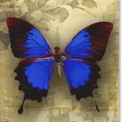 Magic Tattoo Shop, Aizenay - Horaires d'ouverture