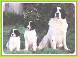 Domaine de Val Kurlande - Landseer, Vernouillet - Horaires d'ouverture