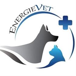 Clinique Vétérinaire Univet Salles, - Horaires d'ouverture
