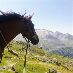 Les Chemins de Diva, Martres-Tolosane - Horaires d'ouverture