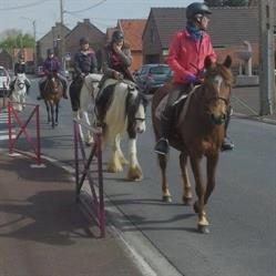 ARH équitation, Fenain - Horaires d'ouverture