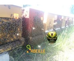 L' Abeille de Picardie, Ailly-sur-Noye - Horaires d'ouverture