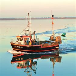 La Fille du Pêcheur, Ars-en-Ré - Horaires d'ouverture