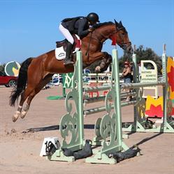 Haras de l'Espinette, Puget-sur-Argens - Horaires d'ouverture