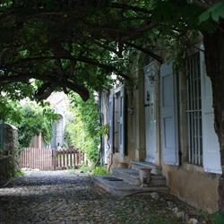 Mas de La Plantade, Saint-Bauzille-de-Putois - Horaires d'ouverture