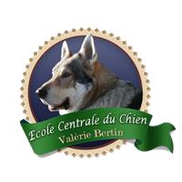 Ecole Centrale Du Chien, Bracieux - Horaires d'ouverture