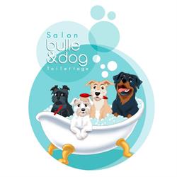 Bulle & Dog toilettage, Évreux - Horaires d'ouverture