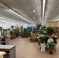 La fleur baralbine, Bar-sur-Aube - Horaires d'ouverture