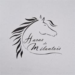 Haras du Melantois, Sainghin-en-Mélantois - Horaires d'ouverture