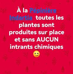 Pépinière Indartia, Ascain - Horaires d'ouverture
