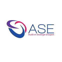 ASE - AUDIT ET STRATEGIE D'EXPERT, Saint-Jean - Horaires d'ouverture