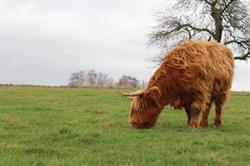 La Ferme des Cattle, Cérilly - Horaires d'ouverture