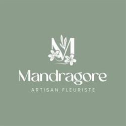 Mandragore, Saint-Alban - Horaires d'ouverture