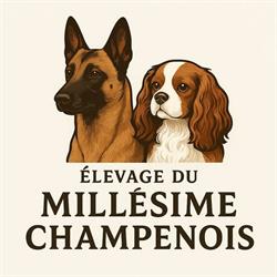 Élevage du millésime champenois, Saint-Mard-lès-Rouffy - Horaires d'ouverture