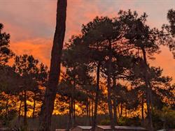 AMBIANCE ECOPAYSAGES, Saint-Maximin-la-Sainte-Baume - Horaires d'ouverture