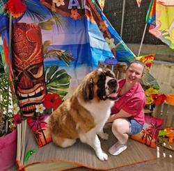 VBG Toilettage Gardiennage Chiens, Bourgoin-Jallieu - Horaires d'ouverture