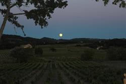 Domaine de la Tête Noire, Gigondas - Horaires d'ouverture