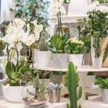 Claudie.h, Moûtiers - Horaires d'ouverture