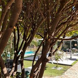 Logis Hôtel la Bastide des Golfs, Mouans-Sartoux - Horaires d'ouverture