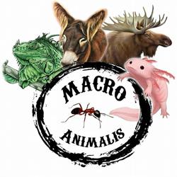 Ferme pédagogique Macro-Animalis, Guérande - Horaires d'ouverture
