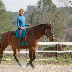 Les Chevaux d'Anahata, Le Cannet-des-Maures - Horaires d'ouverture