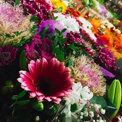 Bouddha Fleuriste, Paris - Horaires d'ouverture