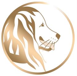 Instant Canin, Seignosse - Horaires d'ouverture