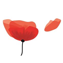 Savonnerie des Coquelicots, Rennes - Horaires d'ouverture