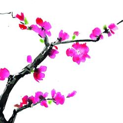 Christine Oliver praticienne Reiki Nimes, Nîmes - Horaires d'ouverture