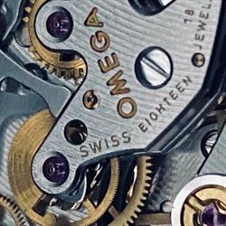 Time Is Now, Toulouse - Horaires d'ouverture