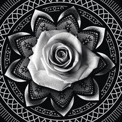 Kevin Porta Artiste Tatoueur, Hettange-Grande - Horaires d'ouverture