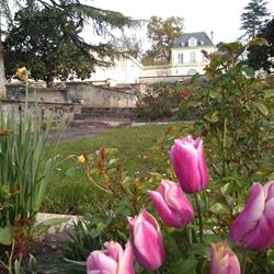 Château Duplessy, Cénac - Horaires d'ouverture