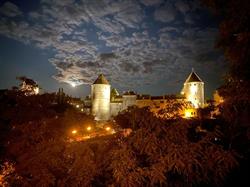 BATISSE DU PONT PINARD, Semur-en-Auxois - Horaires d'ouverture