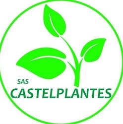 Castelplantes, Villeneuve-lès-Bouloc - Horaires d'ouverture