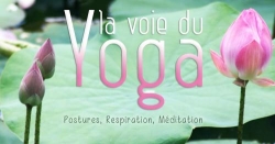 Laude DEMAY Yoga, Aix-en-Provence - Horaires d'ouverture