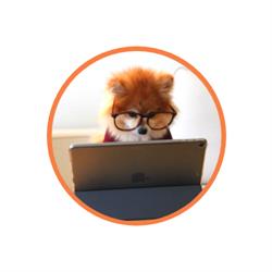 FOXY'S Formation, Soisy-sous-Montmorency - Horaires d'ouverture
