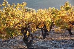 Vinsetbieres, Noisy-le-Grand - Horaires d'ouverture